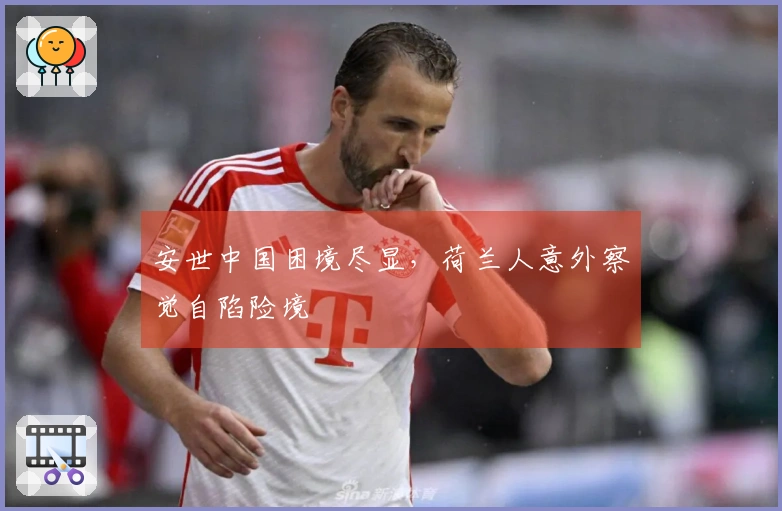 安世中国困境尽显，荷兰人意外察觉自陷险境